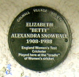Plaque